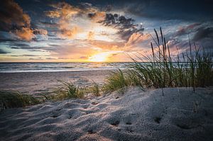 Sunset Dream