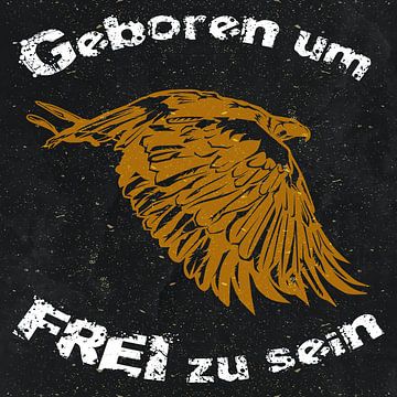 La liberté au carré : un aigle né pour être libre sur ADLER & Co / Caj Kessler