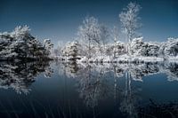 Infrarot Regte heide Goirle