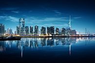 City reflection by Ellen Reografie thumbnail