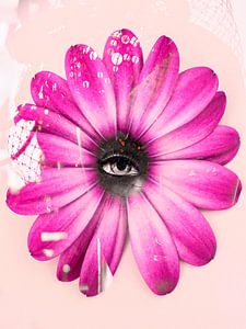 The eye and the flower von Gabi Hampe