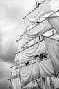 Classic sailing ship masts with sails in black and white by Sjoerd van der Wal thumbnail