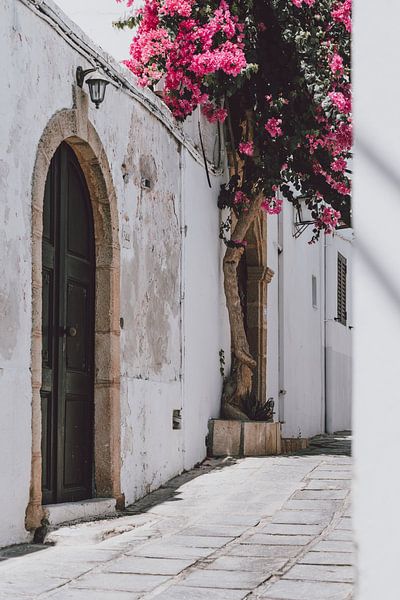 Rue blanche de Lindos avec le Bougainvillier par Patrick Vossen