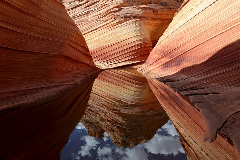 Formations rocheuses dans les North Coyote Buttes, qui font partie du Vermilion Cliffs National Monu par Frank Fichtmüller