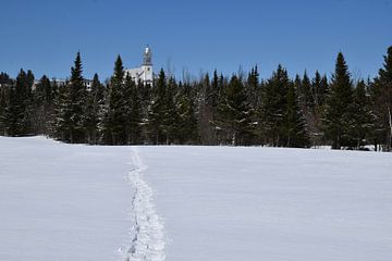 Sporen van sneeuwschoenen in een veld in de winter van Claude Laprise