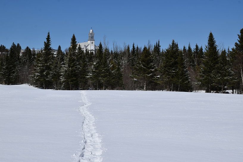 Traces of snowshoes in a field in winter by Claude Laprise