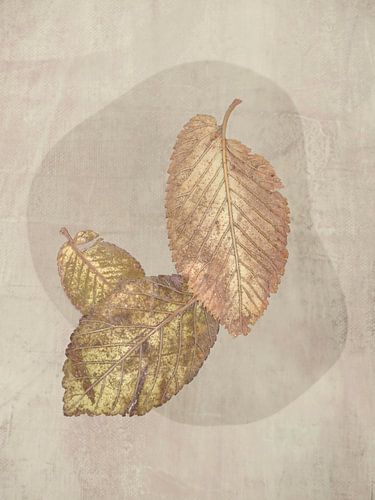 Laatste Bladeren in Beige. 2. Scandinavisch.