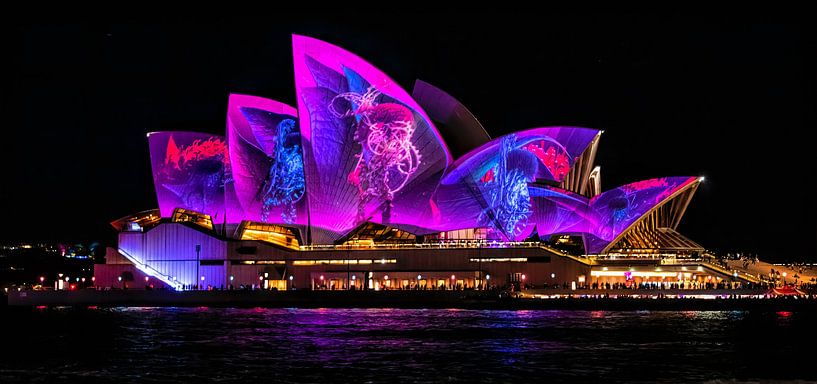 Sydney by Hello Pompoyo