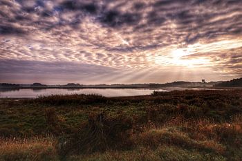 Ochtend meer landschap
