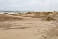 Dune Land