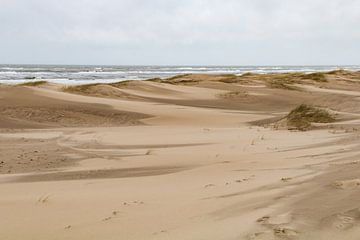 Duinland van Anna Thiessen