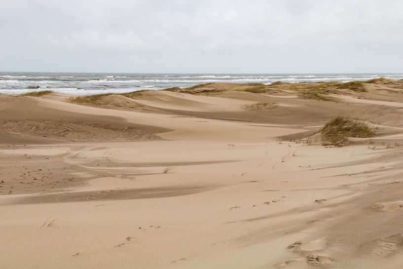 Dune Land by Anna Thiessen