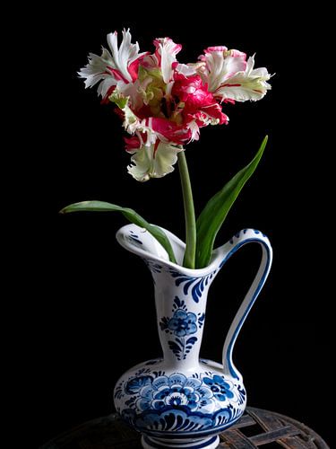 Parrots Tulip Estella Rijnveld in vase