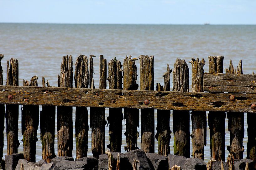 Moddergat Waddenzee von Susan Vrieze
