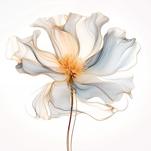 Sierlijk en doorschijnend