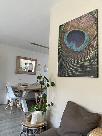 peacock feather in the light (vertical)