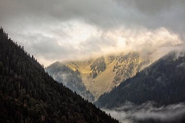 Alpen @ Sankt-Gallenkirch von Rob Boon