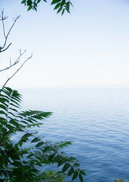 Calme et nature avec vue sur la mer sur LyanneArt