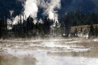 Morgennebel im Yellowstone von Antwan Janssen Miniaturansicht