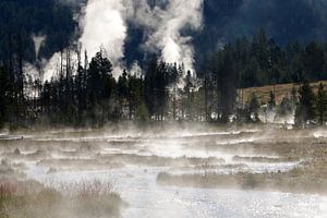 Morgennebel im Yellowstone