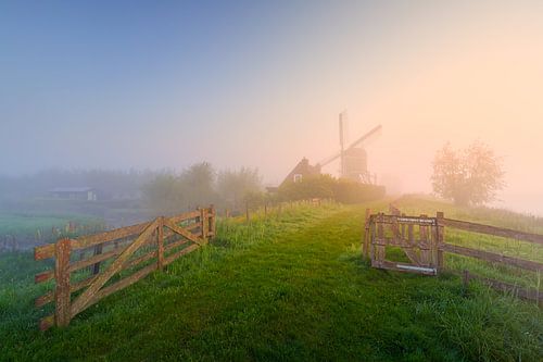 Mistige zonsopkomst bij de Oukoopse Molen in het Groene Hart