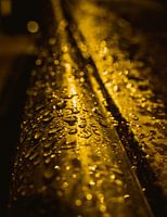 raindrops