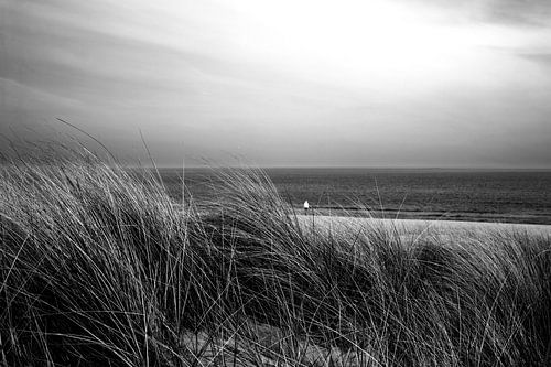 On the beach of the Baltic Sea