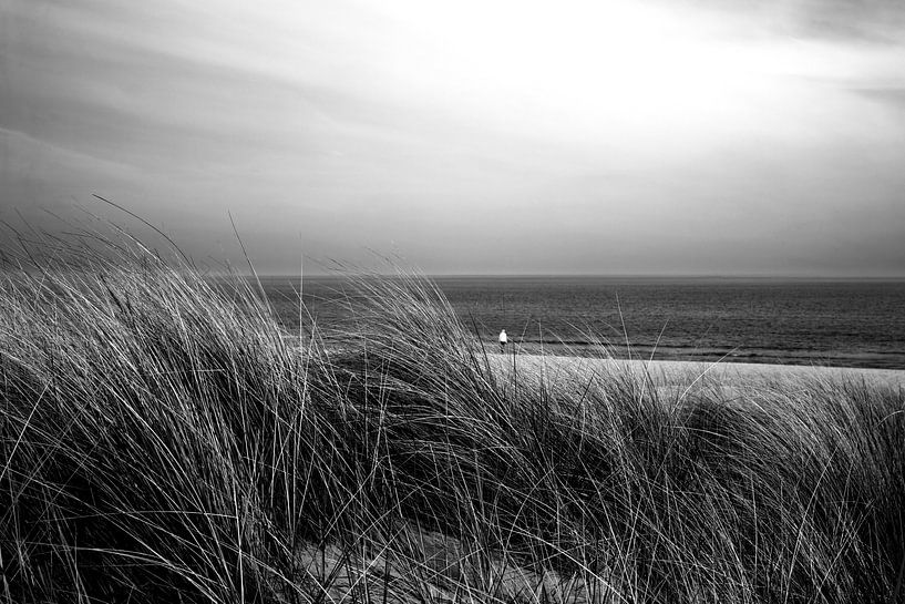 Am Strand der Ostsee von Frank Herrmann