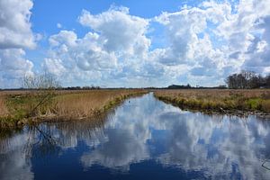 Witte wolken weerspiegeld in het water van de Alde Feanan van My Footprints