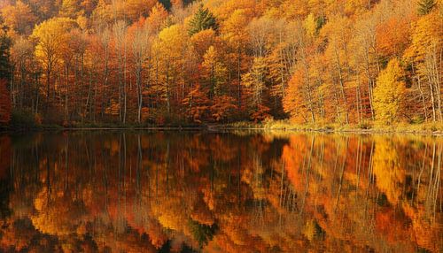 Herbstgedanken