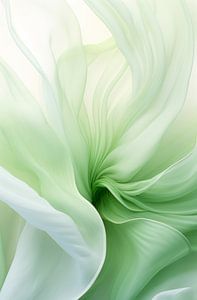 Danse des fleurs