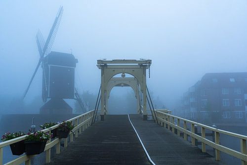 Leiden in de mist