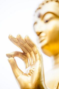 Hand van Boeddha von Marcel Derweduwen