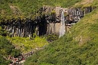 Svartifoss waterval IJsland van Menno Schaefer thumbnail