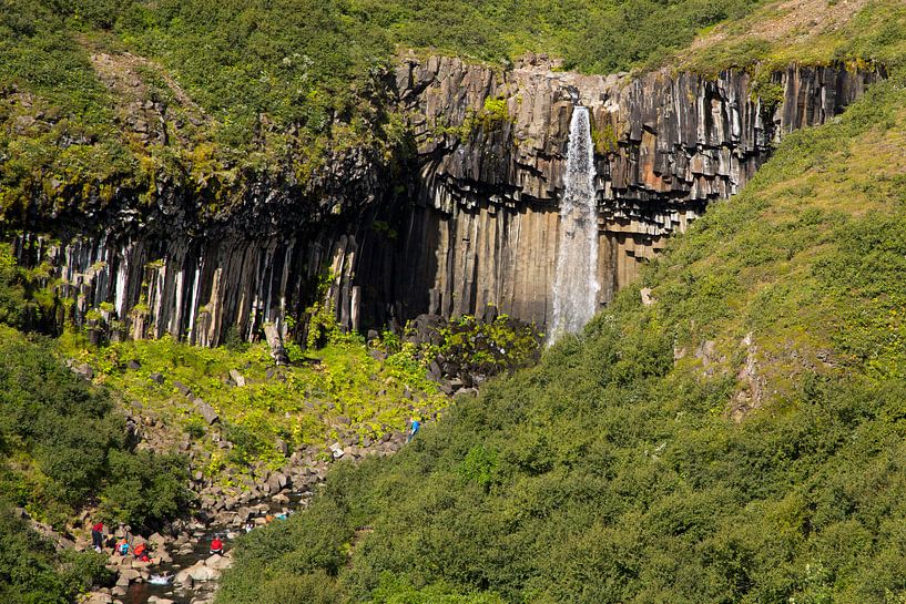 Svartifoss waterval IJsland van Menno Schaefer