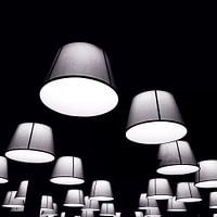 the light