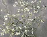 Variation der Mandelblüten von Vincent van Gogh in Hellgrau von Masters Revisited Miniaturansicht
