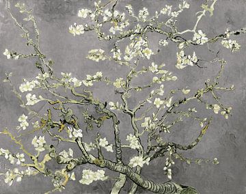 Almond blossom by Vincent van Gogh (light gray)