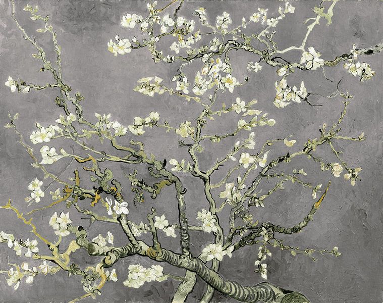  Variation der Mandelblüten von Vincent van Gogh in Hellgrau von Masters Revisited
