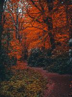 Herbst 3
