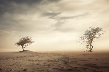 Contours doux, solitude forte : les dunes minimalistes sur Karina Brouwer
