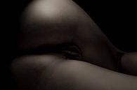 Künstlerischer Akt einer Vagina und eines Gesäßes Bodyscape von Art By Dominic Miniaturansicht