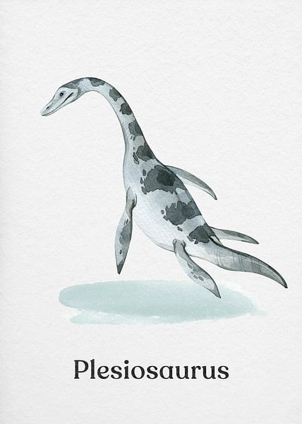 Plesiosaurus van Gal Design