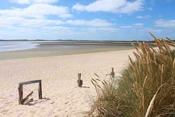 Dünengras im Ellenbogen auf Sylt