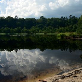 Ein kleiner See in einem Waldgebiet von Drenthe von Jan Verschoor