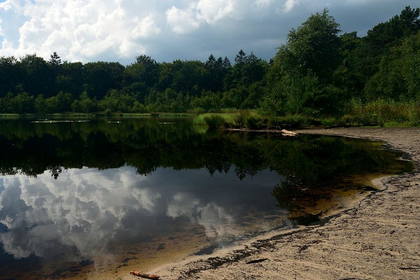 Ein kleiner See in einem Waldgebiet von Drenthe von Jan Verschoor