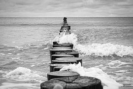 Einzelne Buhne an der Ostsee