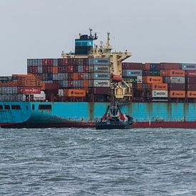 The tug and container ship by scheepskijkerhavenfotografie