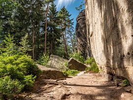 Halbenweg, Saksisch Zwitserland - Rotspartij bij de reuzenhagedis van Pixelwerk