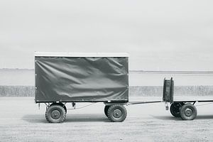 Gepäckesel am Meer